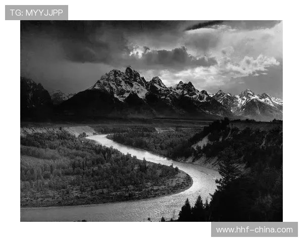 亚当斯的崛起与影响力探析：从个人成就到全球视野的深度解读